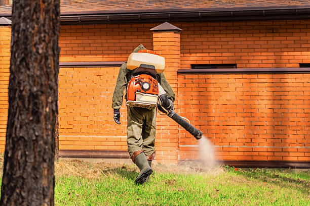 Trusted Termite Control service in Forest Hills, PA - Nex Pest Control